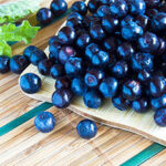 Bilberry Extract