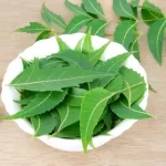 Neem-150x150