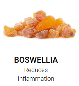 Boswellia 1