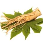 Ginseng